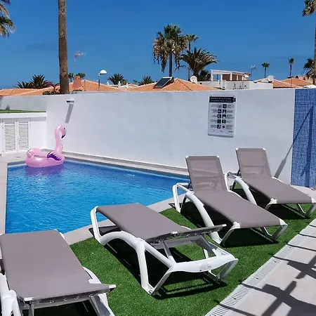 Orquidea Callao Salvaje